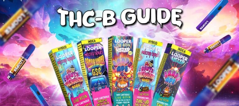 thc-b guide